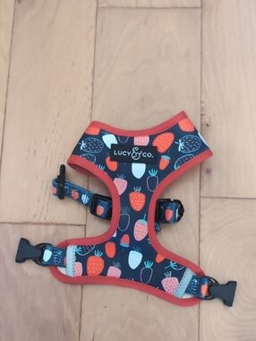 Lucy & Co. Strawberry Reversible Dog Harness - Red and Navy